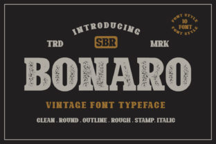 Bonaro Family: Vintage Display Font