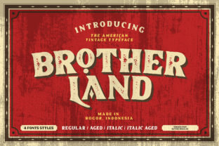 Brotherland: A Bold Display Font
