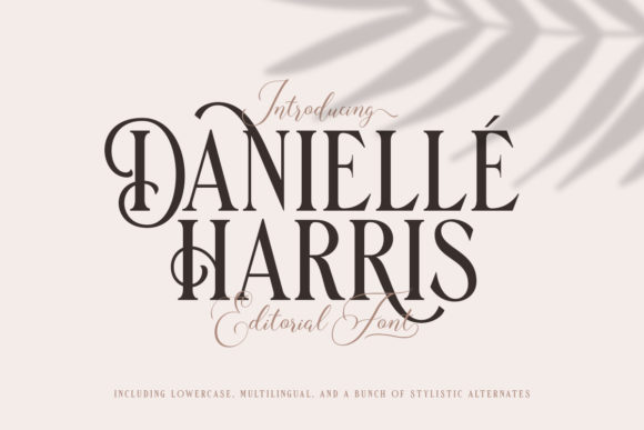 Danielle Harris: A Display Font Built for Impact