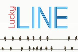 Lucky Line Font for Web Design