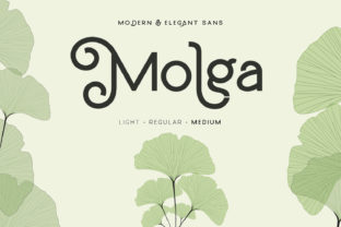 Molga: A Display Font That Sharpens Your Campaign Message